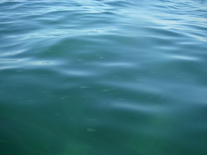 20101010−2.jpg