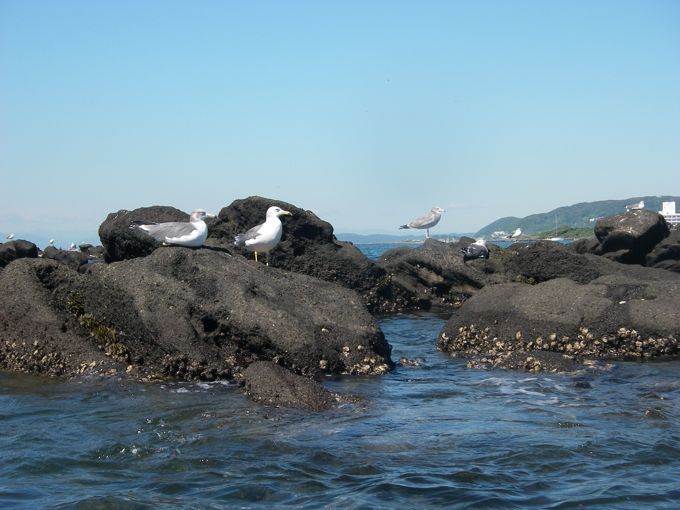 20101010−4.jpg