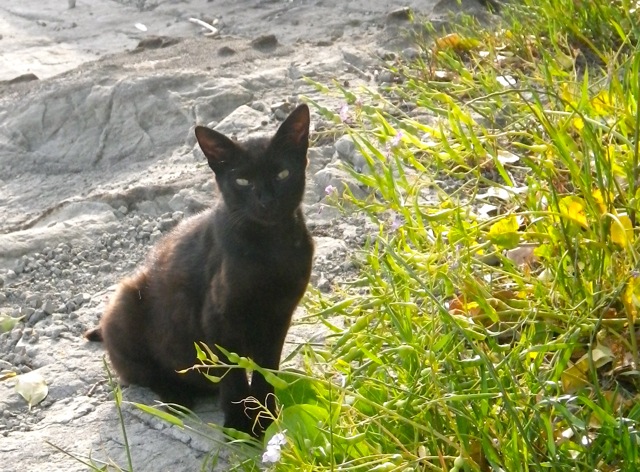 IMGP0422.jpg