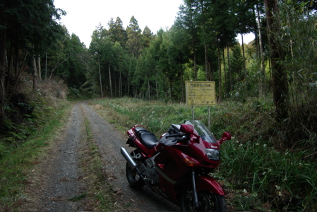 IMGP2971.jpg