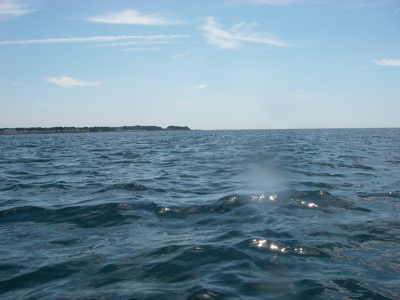 K11.jpg