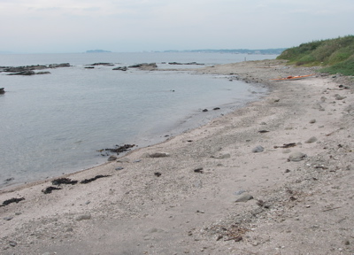 K6.jpg